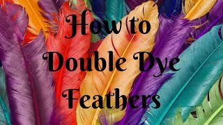 HOW TO ACHIEVE YOUR DESIRED COLOURED FEATHERS [upl. by Amorette]