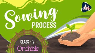 Sowing Process by Class IV Orchids Students [upl. by Assyn]