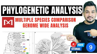 How to perform Phylogenetic analysis using MEGA 11 software [upl. by Alahsal]