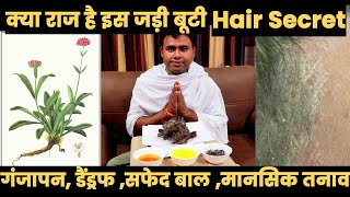 Secret Tips to Hair Regrow and Vow to Stop Hair Fall  Ayurvedic Home Remedies Jadi Buti Desi Nuskhe [upl. by Anawyt]