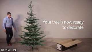 How To Assemble The Nobilis Fir Artificial Christmas Tree [upl. by Ymmor]