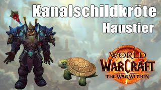 Kanalschildkröte von Dalaran  Insel Dorn Geheimnis  Wow The War Within [upl. by Gladwin]