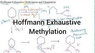 Hoffmann Exhaustive methylation and Elimination I Amines I Particles Academy [upl. by Eclud881]