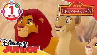 Lejonvakten  Musik Vår kung Sumba 👑 Disney Junior Sverige [upl. by Lucienne]