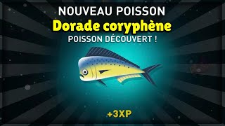 OU TROUVER LA DORADE CORYPHENE SUR CREATURES OF THE DEEP [upl. by Tinya689]