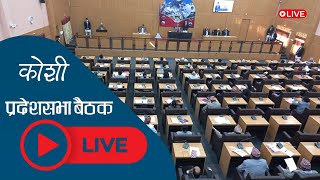 Live 🔴के हुँदैछ कोशी प्रदेशसभा बैठकमा   Koshi pradeshsabha [upl. by Ruosnam340]