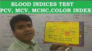 Blood Indices  PCV MCV MCH MCHC Test amp formula  Hematocrit  MCQ MLT Nursing NEET PG GPAT [upl. by Taam]