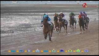 4 Carrera de Caballos Premio Manzanilla Solear  J 28 de agosto 2016  Sanlúcar de Barrameda [upl. by Atyekram]