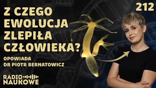 Wspólnota życia  ewolucja odsłania prawdę o pochodzeniu człowieka  dr Piotr Bernatowicz [upl. by Aneez]