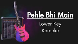 Pehle Bhi Main Lower Key Karaoke  Unplugged Karaoke With Lyrics  Animal  Vishal Mishra [upl. by Ailsun]