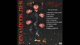 Dinamicos Jrs  6 Gracias Por Tanto Amor Audio Oficial [upl. by Okimat]