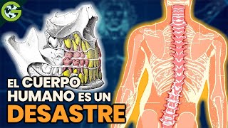 ¿Por qué el CUERPO HUMANO es un DESASTRE 🦷 [upl. by Buke]