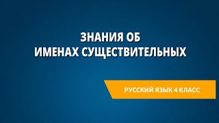 Знания об именах существительных [upl. by Bradan]