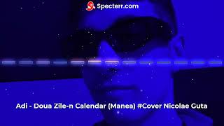 Adi  Doua Zilen Calendar Manea Cover Nicolae Guta [upl. by Haida]