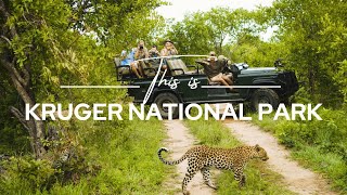 Kruger National Park South Africa  Safari365 [upl. by Pearce246]