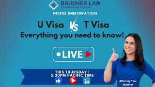 U visa vs T visa [upl. by Ahkos]