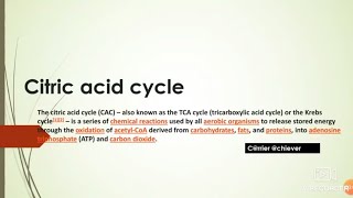 Citric acid cycle  krebs cycle  detailed explanationhindi notes English [upl. by Sasnett115]