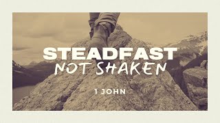 Steadfast Not Shaken Part 7 [upl. by Wiburg]