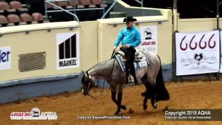 VS FLATLINE ridden by CHARLIE I COLE  2015 AQHA World Show FINALS  Jr Western Riding L3 [upl. by Adieren]