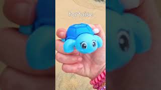 Beach Fun  Learn Animal Names Dolphin Chick Tortoise Octopus Hippo Starfish Raccoon [upl. by Ahsuatan864]