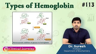 113 Types of Hemoglobin [upl. by Poll]