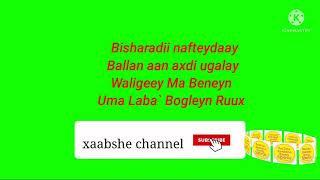 Tijaabi codkaga Shey Mire Dacar Heestii Bishaaradii NaftaydaayLyrics xaabshe channel [upl. by Gervase]