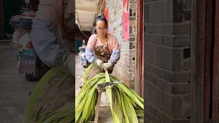 Peeling the bark of jute plants process [upl. by Yellat]