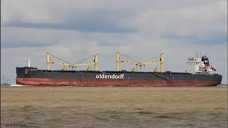 GEORG OLDENDORFF  Shipspotting Germany 🇩🇪 IMO 9702596  River Elbe near Otterndorf [upl. by Devan306]