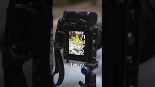 How to get sharp trees and blurry water in landscape photography [upl. by Eisak]