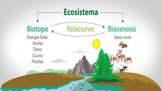 EL BIOTOPO Y LA BIOCENOSIS [upl. by Yanat]