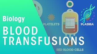 Blood transfusion  Health  Biology  FuseSchool [upl. by Lenee]