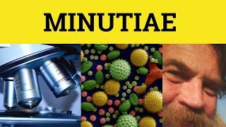 🔵 Minutiae  Minutiae Meaning  Minutiae Examples  Latin in English [upl. by Yawnoc]