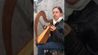 Irish Harp Street Musician in Cork [upl. by Witty823]