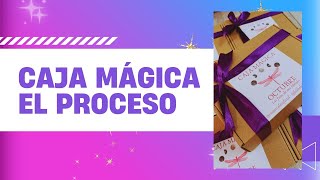 Caja Mágica El proceso [upl. by Dnalsor940]