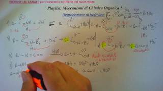 Degradazione di Hofmann Meccanismo dettagliato [upl. by Ettezyl]