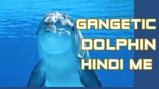 gangetic dolphin  ganga river dolphin  hindi  ganges river dolphin blind dolphin [upl. by Jezreel]