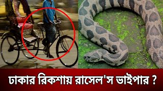 ঢাকার রিকশায় রাসেলস ভাইপার   Bangla News  Mytv News [upl. by Assila]