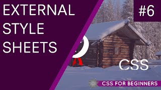 CSS Tutorial For Beginners 06  External Style Sheets [upl. by Magda]