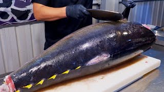 Worlds Sharpest Tuna Knife！Superb yellowfin Tuna cutting skill Luxurious sashimi  最鋒利的刀！黃鰭鮪魚切割技能 [upl. by Dyche]