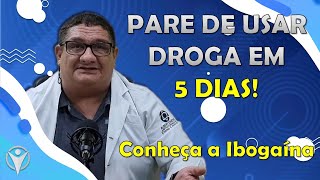 CONHEÇA A IBOGAÍNA  A PLANTA que está revolucionando a dependência química [upl. by Ahsenor]