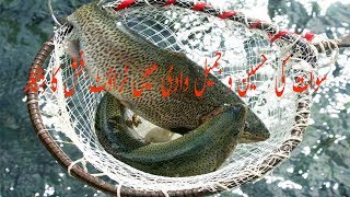 Hunting trout fish in the valley of Swat Pakistan [upl. by Rehpretsirhc]