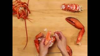 Steamed Lobster  Simple Seafood  Safeway [upl. by Yrdua558]