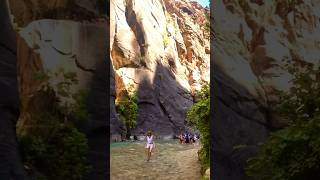 HIKING The NARROWS  Zion National Park narrows zionnationalpark utah hiking shorts deepest [upl. by Ettevey]