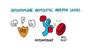 Autoimmune Hemolytic Anemia [upl. by Dorsman]