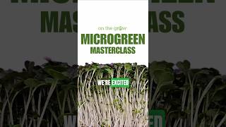 🌱 Microgreen Masterclass Course Learn to Grow amp Profit [upl. by Nnylamme663]