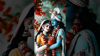 Radha Krishna status and Radha Krishna love shorts radhakrishna radhakrishnastatus [upl. by Nauqram]