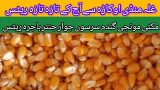 Today okara mandi zarahi ajnaas rates maize till sarson jawar bajrah rowan cotton munji janter wheat [upl. by Salli629]