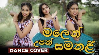 Malen Upan Samanali මලෙන් උපන් සමනළී  Sumithuru Seya Production  Dance Cover SumithuruSeya [upl. by Lorac]