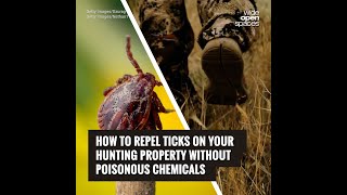 How to Repel Ticks on Your Hunting Property without Poisonous Chemicals [upl. by Fradin185]