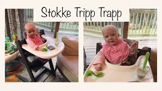 Stokke Tripp Trapp  4 month Starts Solids  Tuesday Baby Product Reviews [upl. by Ahsap]